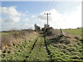 Dismantled railway trackbed twixt Pulham St Mary and Starston