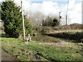 Pond at Pied Bridge