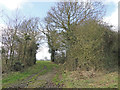 Footpath near Manor Farm Cottages