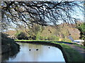 The New River north of High Street, Stanstead St. Margaret