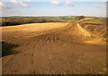 Field north of Looe