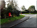 Linden Road Postbox