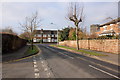 Appleyards Lane, Handbridge