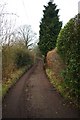 North Worcestershire Path, near Iverley