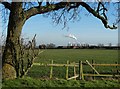 View to Sheds Farm and Cottam Power Station