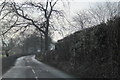 Grindleton Road looking west