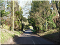 Lane through Avington