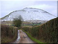 Lane from Upper Trewalkin