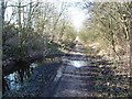 Former railway line, west of the Doncaster Road, Upton