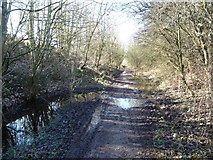 SE4712 : Former railway line, west of the Doncaster Road, Upton by Christine Johnstone