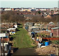 Forest Road Allotments, Mansfield, Notts.