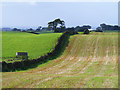 Farmland, Castle Carrock