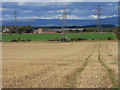 Farmland, Brougham