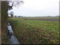 SE5144 : Drainage ditch alongside the Ebor Way by Steve  Fareham