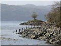 NM6863 : Shore of Loch Sunart by Richard Webb