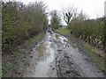 SE4749 : Another muddy bridleway by Steve  Fareham
