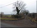 A muddy Manor Lane Healaugh