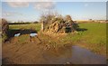 Two field entrances near Ashen Cross