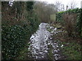 Icy path towards the Leven Canal