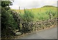 Calderdale Way, Brockholes