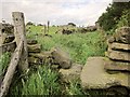 Calderdale Way, Upper Brockholes