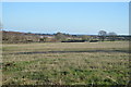 Grazing land, Slepe Farm