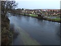 Flooded footpath beside the River Leven