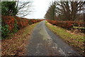 Road to Craigcaffie Bridge