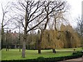 Roydon Hall through the trees