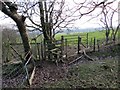 Llwybr Barland / Barland path