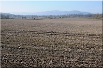 SO8447 : View across arable land by Philip Halling