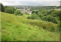 Hillside above Holmfield