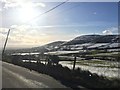 Winter afternoon at Ballymackilreiny