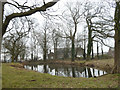 Pond at Mossborough Hall