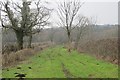 Green lane, Orton Moss