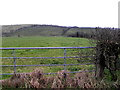 Cavan Townland