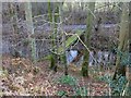 Footbridge over Forest Burn