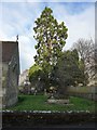 St Andrew, Bemerton: churchyard (B)