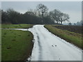 Black Tup Lane