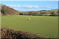 Farmland at Macherquhat