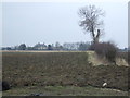 Farmland towards Bridge Farm