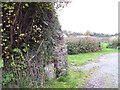 Old Gate Post, Blackheath, Llanteg