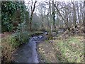 Confluence of Tod Burn and unnamed burn