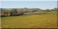 Farmland near Hewish