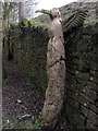 Sculpted bole of tree, car park north of Coanwood