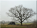 Farmland at Biglongborough