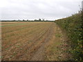 Stubble field beside Asgarby Road