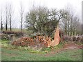 Collapsed farm building on Adder Lane