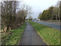 Cycle path beside Hull Road (A1174)