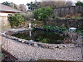 A garden pond